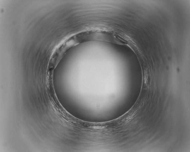 X0000053070388200508081225