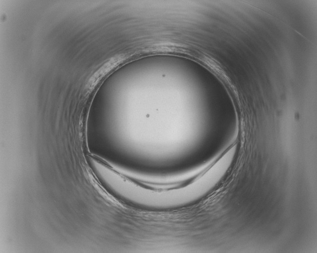 X0000053070389200508081225