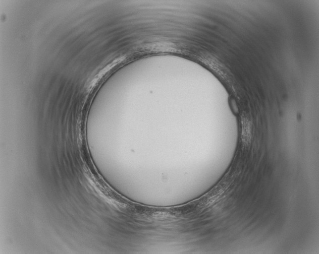 X0000053070390200508081225