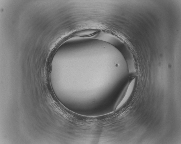 X0000053070391200508081225