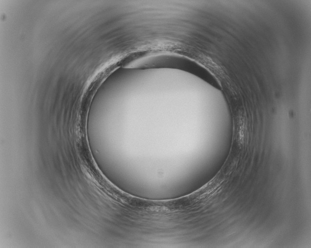 X0000053070392200508081225