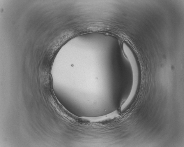 X0000053070393200508081225