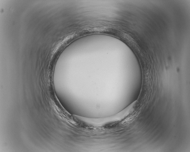 X0000053070395200508081225