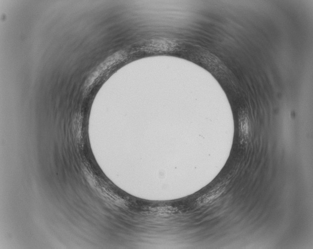 X0000053070396200508081225