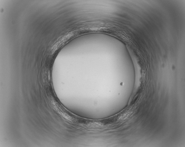 X0000053070397200508081225