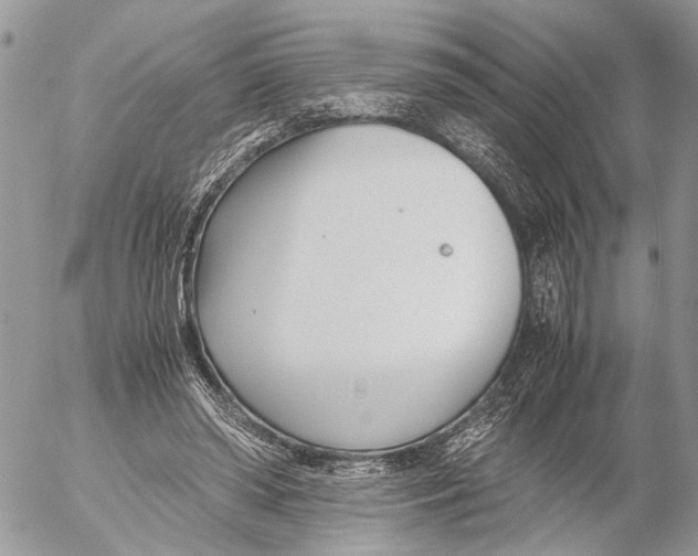 X0000053070398200508081225