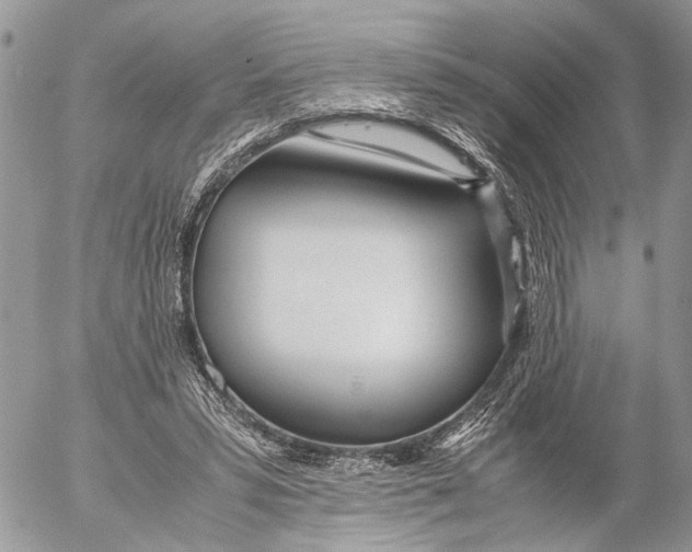 X0000053070399200508081225