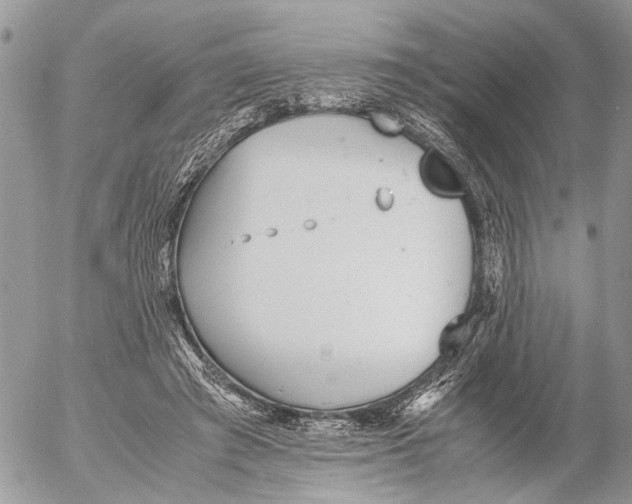 X0000053070401200508081225