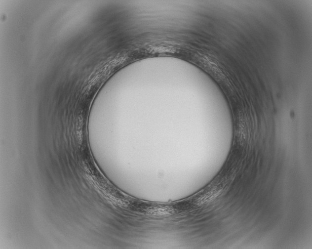 X0000053070402200508081225