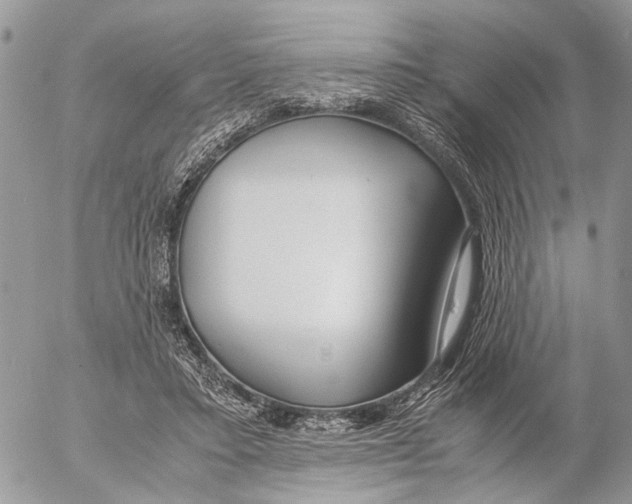 X0000053070403200508081225