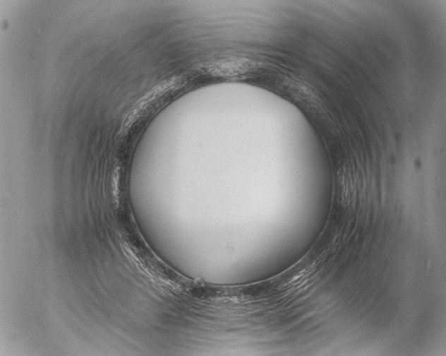 X0000053070404200508081225