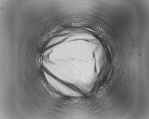 X0000053070405200508081225