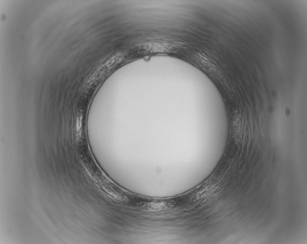 X0000053070406200508081225