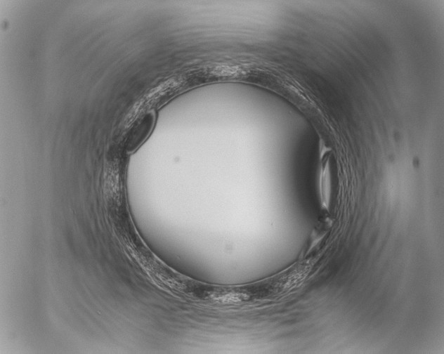 X0000053070407200508081225