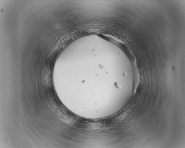 X0000053070408200508081225