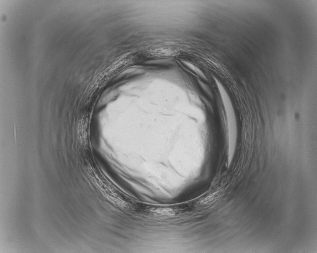 X0000053070409200508081225