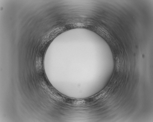 X0000053070410200508081225