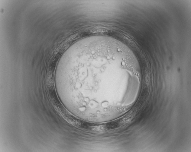 X0000053070411200508081225