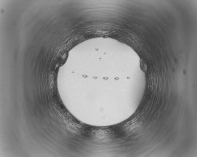 X0000053070412200508081225