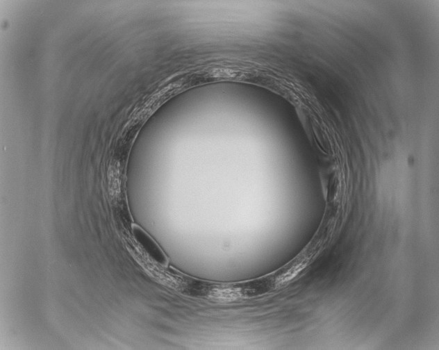 X0000053070413200508081225