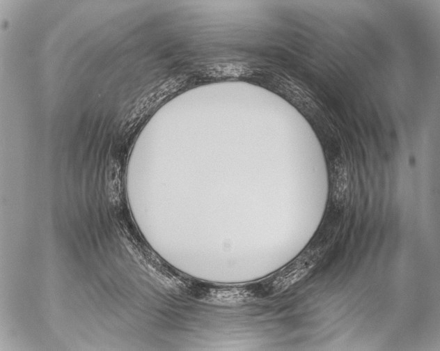 X0000053070414200508081225