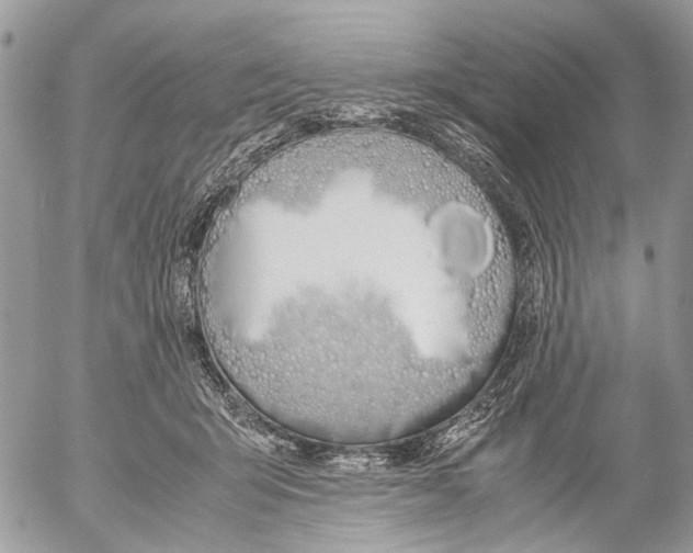 X0000053070415200508081225