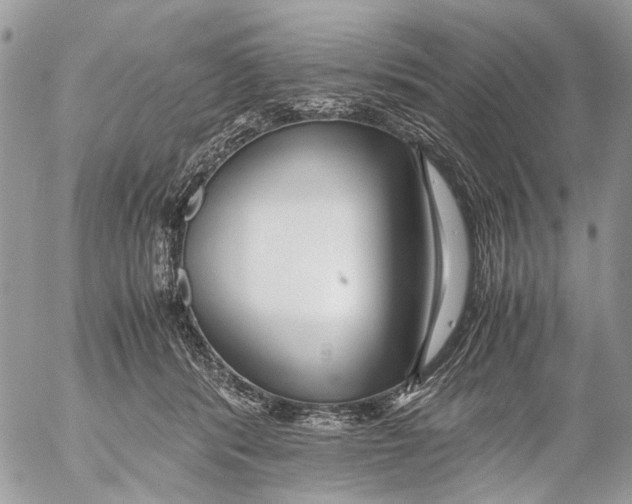 X0000053070416200508081225