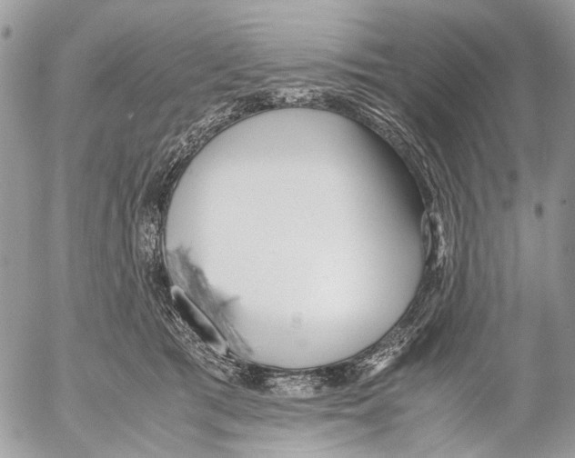 X0000053070417200508081225