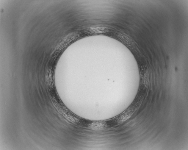 X0000053070418200508081225