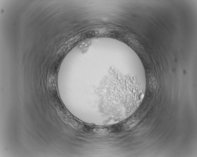 X0000053070419200508081225