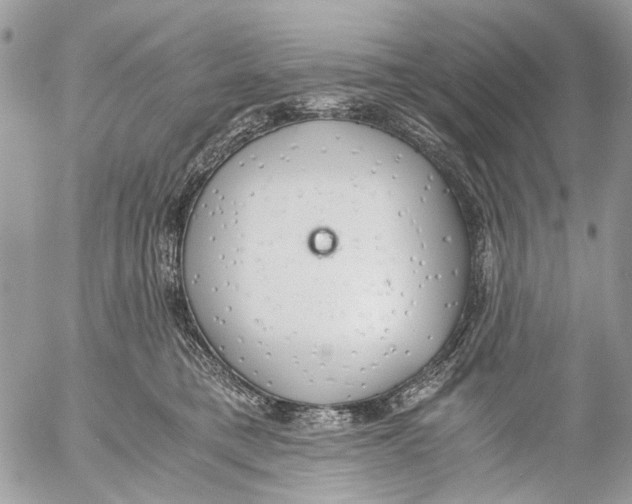 X0000053070421200508081225