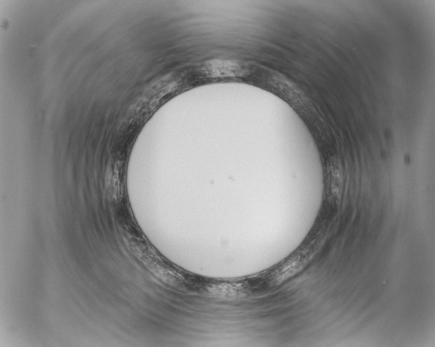 X0000053070422200508081225