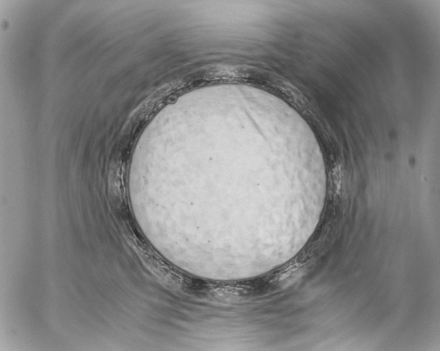 X0000053070423200508081225