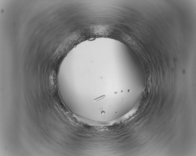 X0000053070424200508081225