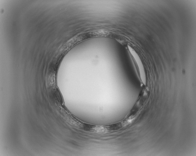 X0000053070425200508081224