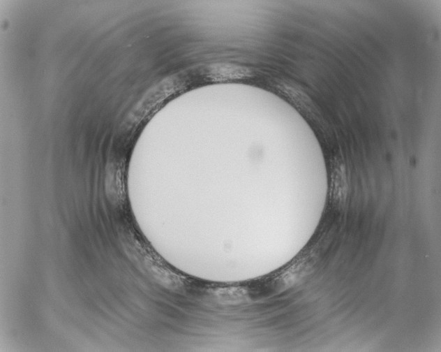 X0000053070426200508081224