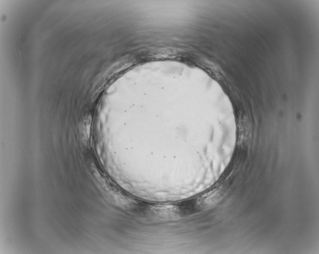 X0000053070427200508081224