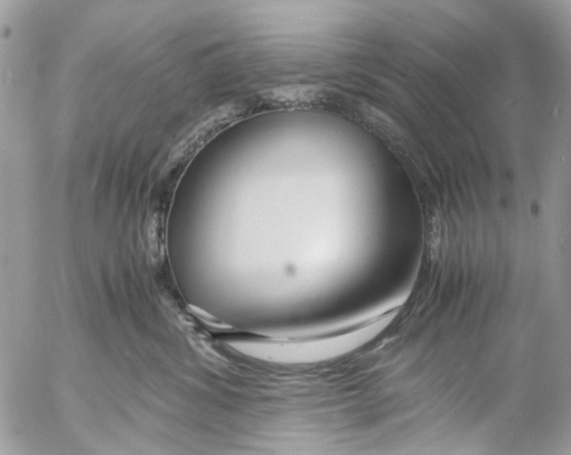 X0000053070428200508081224