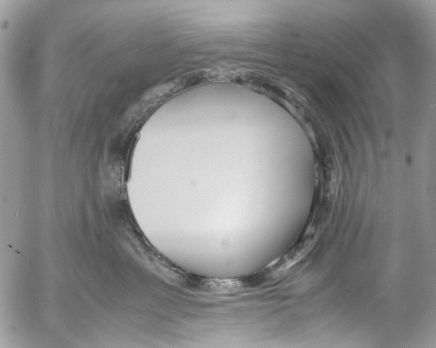 X0000053070429200508081224