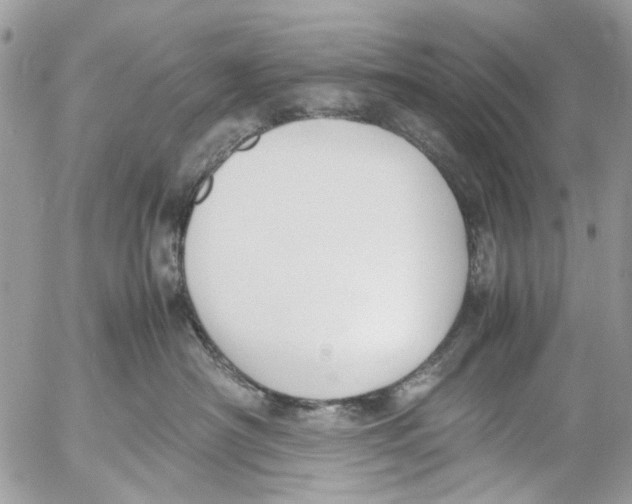 X0000053070430200508081224