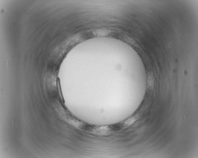 X0000053070431200508081224