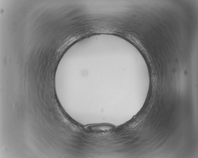 X0000053070433200508081224