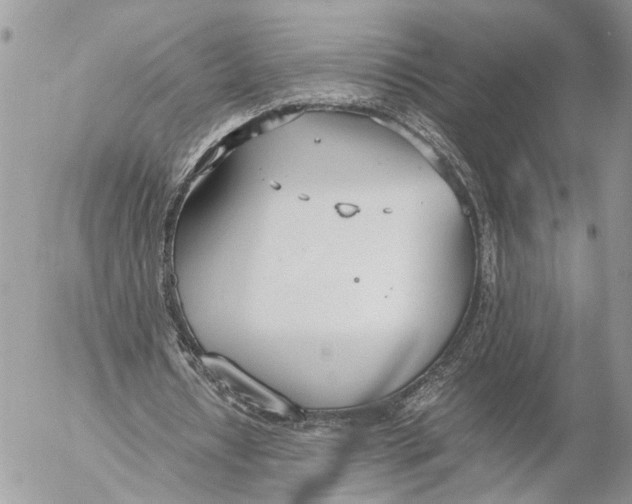 X0000053070434200508081224