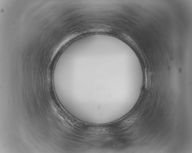 X0000053070435200508081224