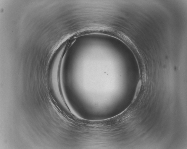 X0000053070436200508081224