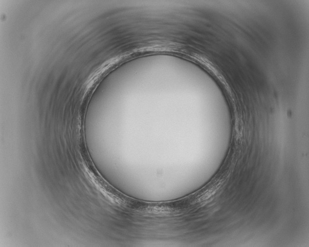 X0000053070437200508081224