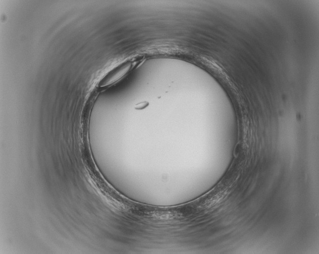 X0000053070439200508081224