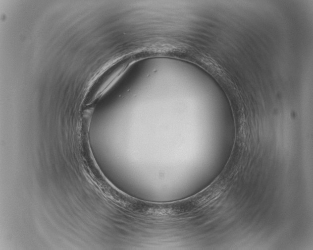 X0000053070440200508081224