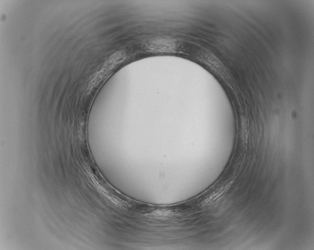 X0000053070441200508081224