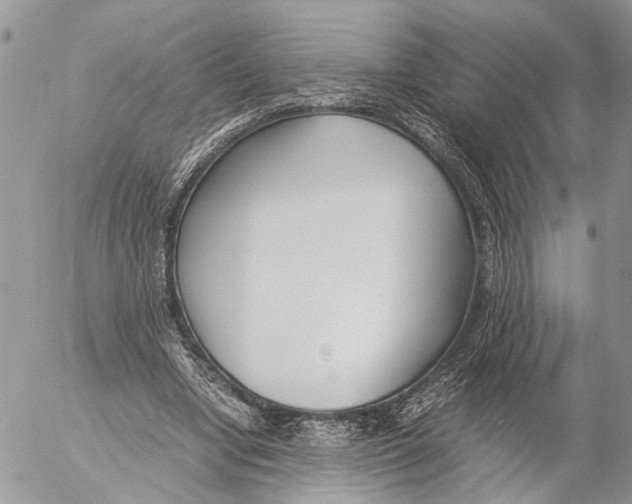 X0000053070442200508081224